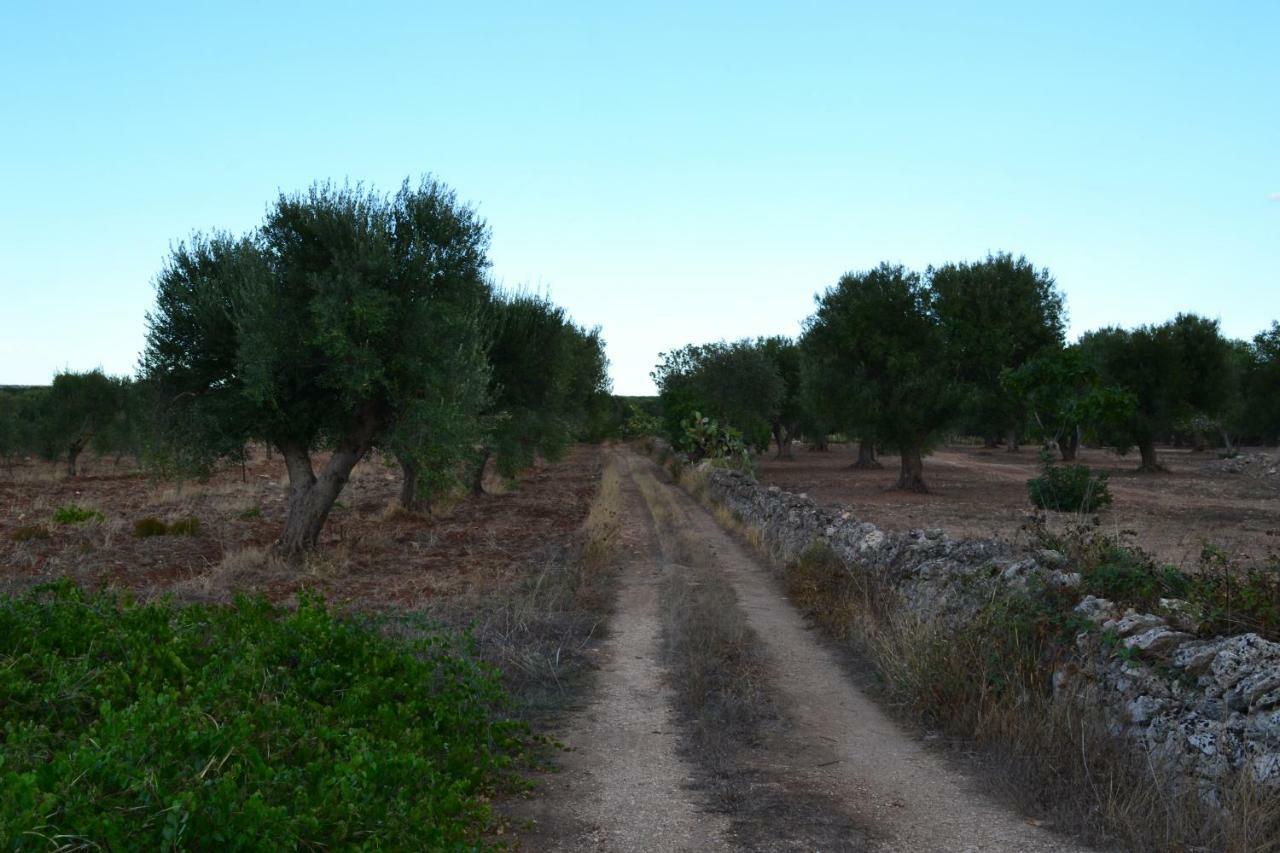 Le Terrazze B&B Manduria Exteriér fotografie